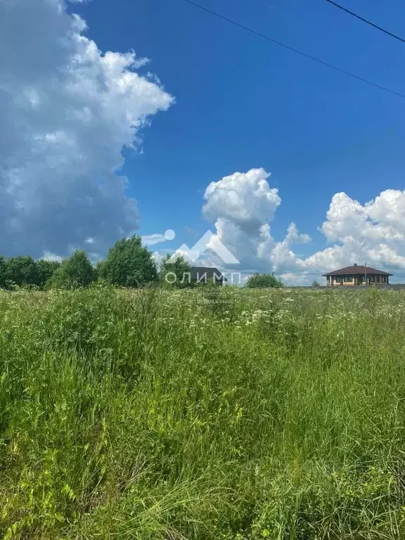 Участок в Вологодская область, д. Ильинское (Октябрьский сельсовет) ... - Фото 2