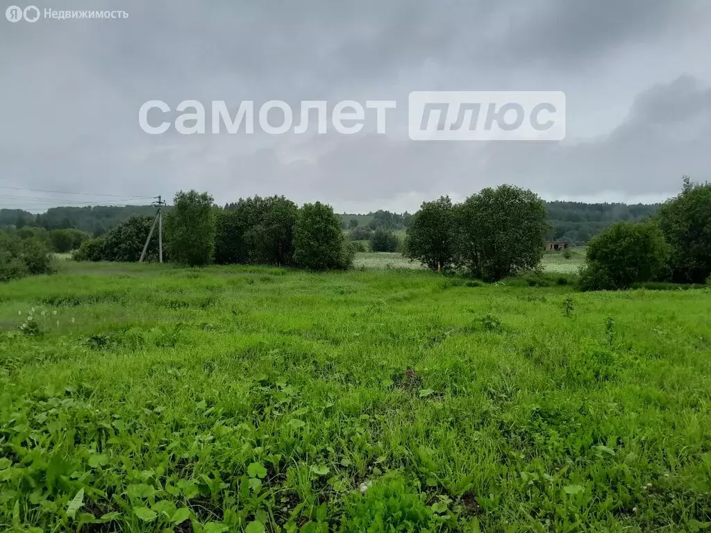 Участок в Вологодская область, Шекснинский муниципальный округ, ... - Фото 1