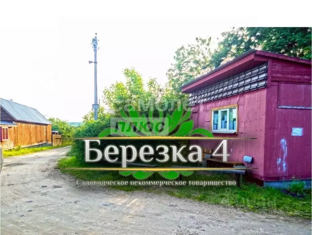 Участок в Челябинская область, Копейск Березка-4 СНТ, 976 (9.0 сот.) - Фото 1