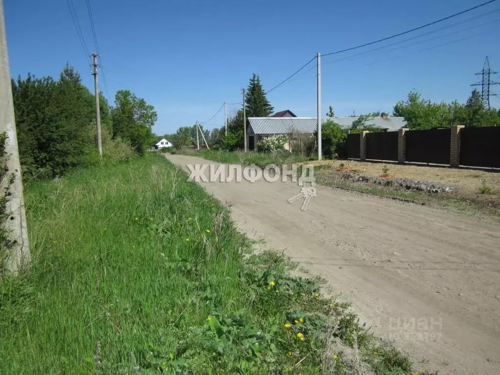 Дом в Новосибирская область, Болотнинский район, с. Карасево (29.9 м),  Купить дом Карасево, Болотнинский район, ID объекта - 50010503426