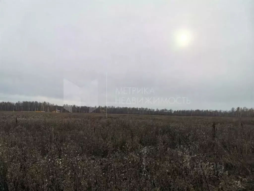 Участок в Тюменская область, Тюменский муниципальный округ, с. ... - Фото 2