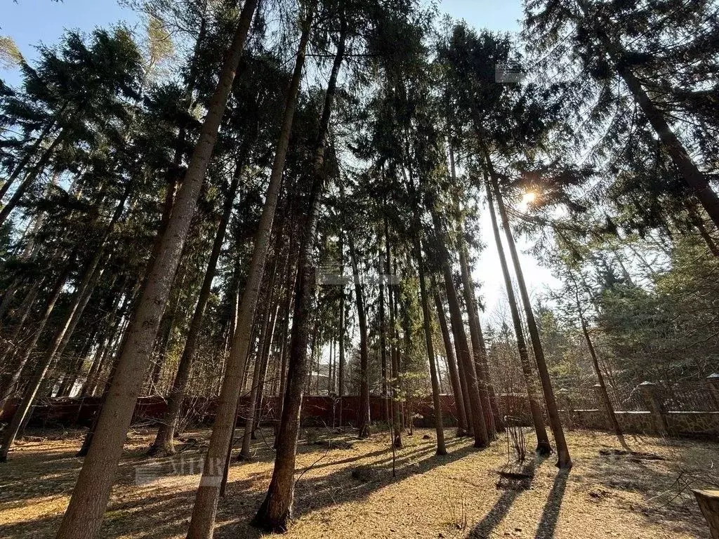 Участок в Московская область, Одинцовский городской округ, пос. ... - Фото 1