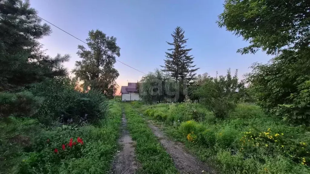 Дом в Амурская область, Ивановский муниципальный округ, с. Приозерное ... - Фото 1