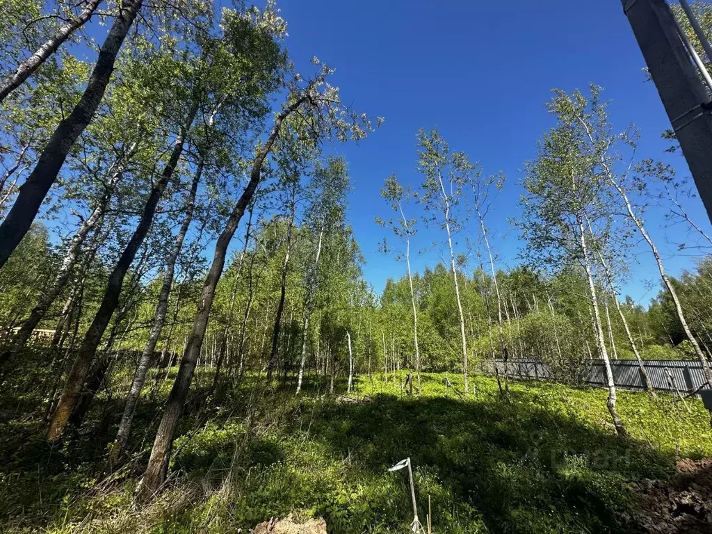 Участок в Московская область, Чехов городской округ, д. Ивино  (6.0 ... - Фото 0