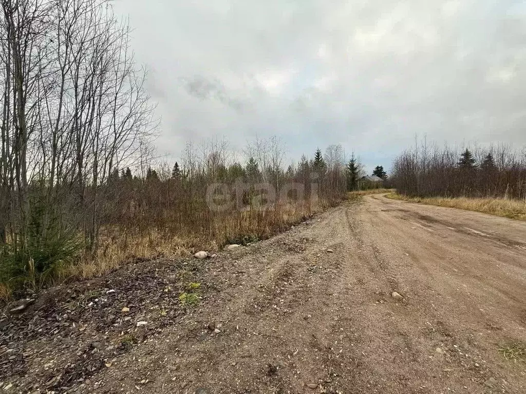 Участок в Вологодская область, Великоустюгский муниципальный округ, ... - Фото 1