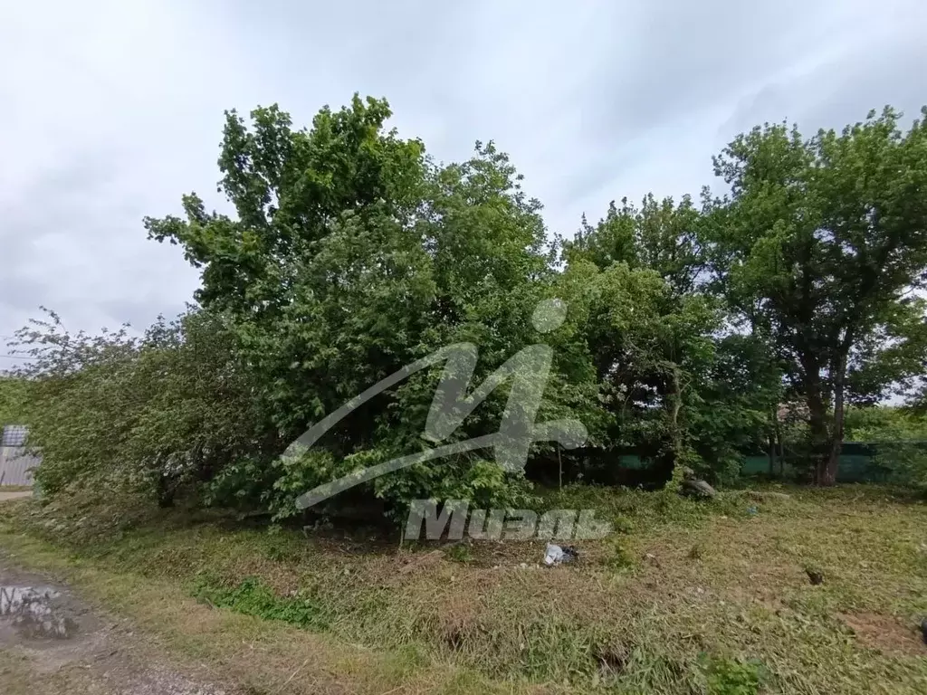 Участок в Калининградская область, Калининград ул. 1-я Большая ... - Фото 2