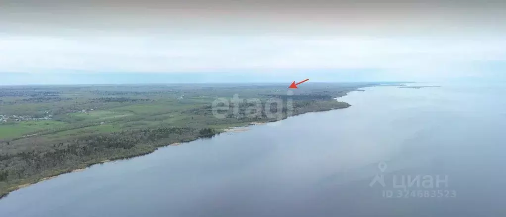 Участок в Вологодская область, Череповецкий район, Мяксинское ... - Фото 2