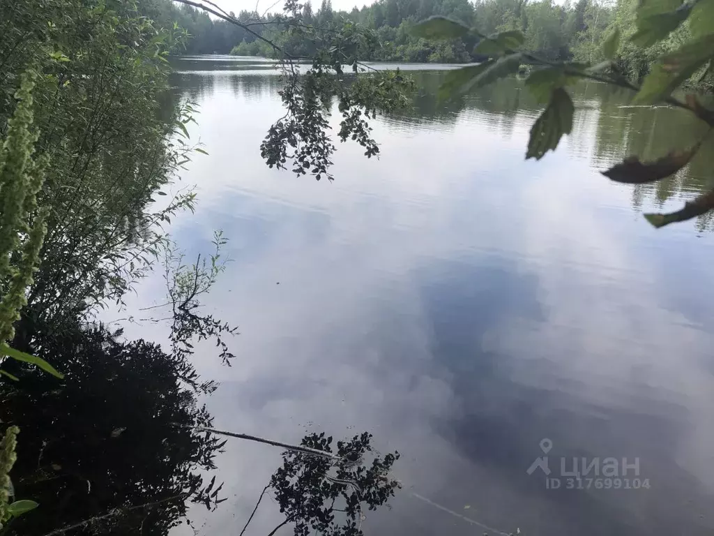 Участок в Псковская область, Невельский муниципальный округ, д. ... - Фото 0