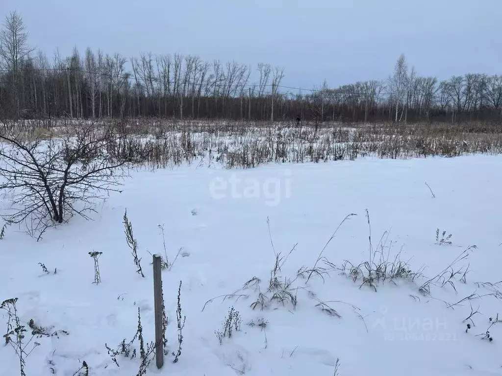 участок в тюменская область, ишимский район, пос. плодопитомник (15.2 . - Фото 0