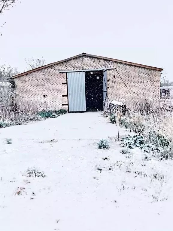 Склад в Самарская область, с. Пестравка  (10403 м) - Фото 1