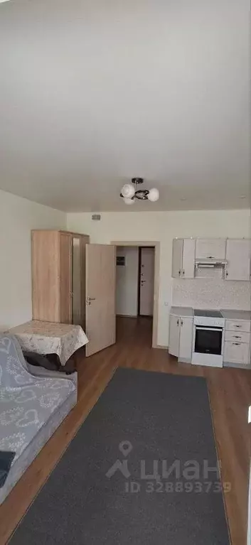 Студия Санкт-Петербург просп. Королева, 57к1 (25.3 м) - Фото 1