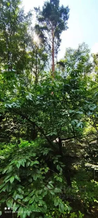 Участок в Московская область, Одинцовский городской округ, д. ... - Фото 2