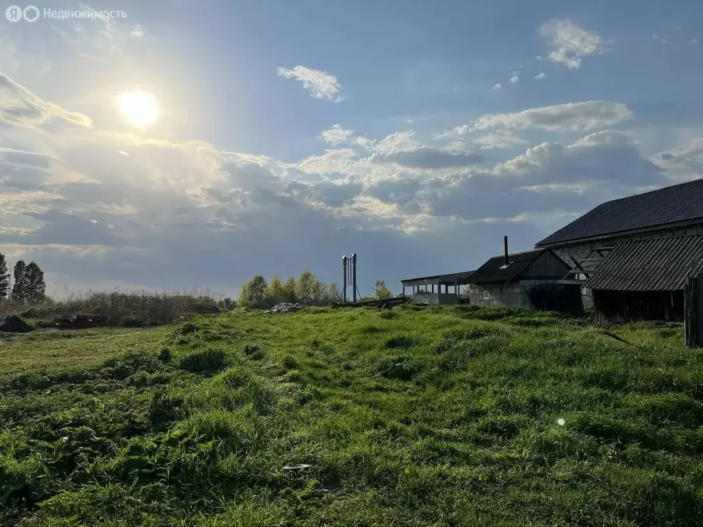 Участок в Свердловская область, Ирбитское муниципальное образование, ... - Фото 1