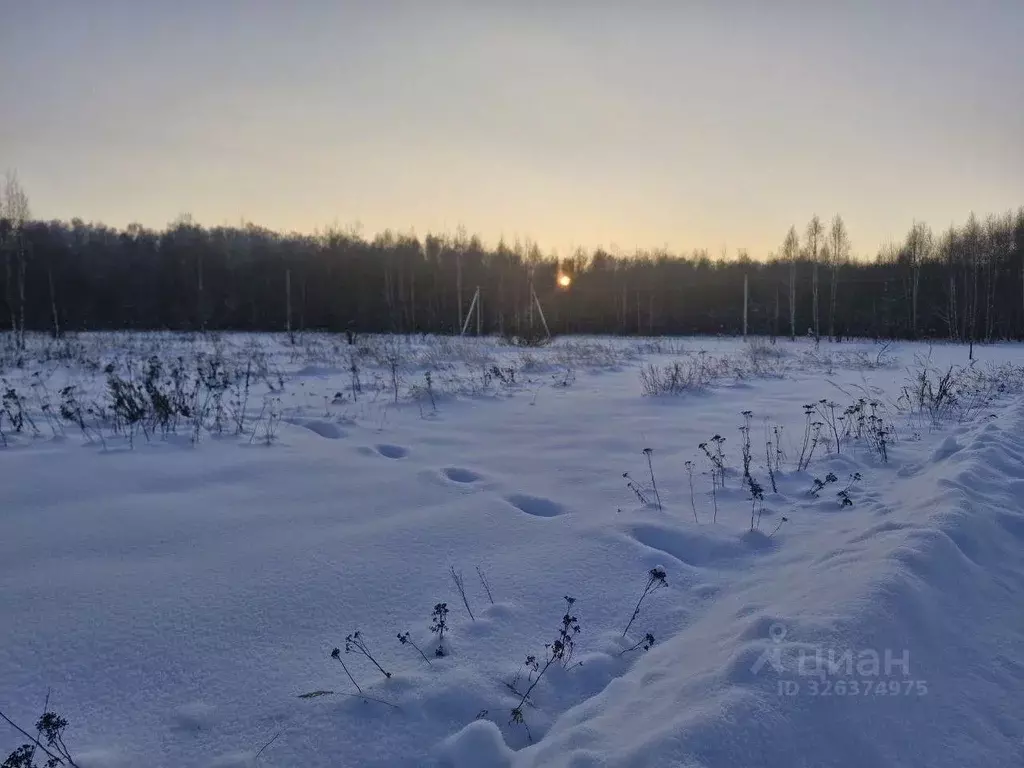 Участок в Московская область, Ступино городской округ, д. Дубнево  ... - Фото 1