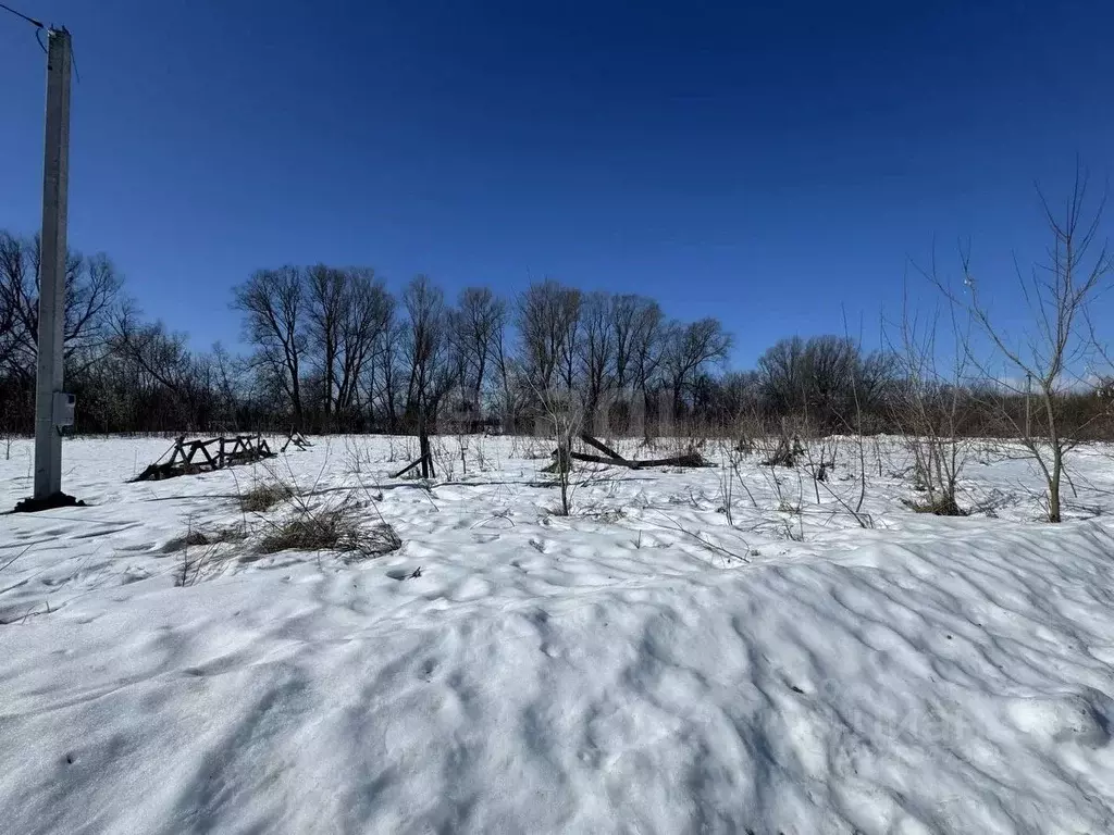 Участок в Марий Эл, Йошкар-Ола городской округ, д. Якимово ул. ... - Фото 1