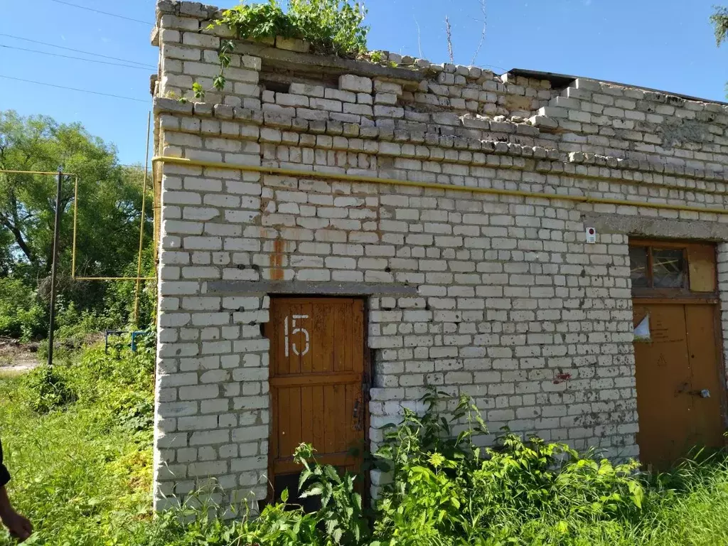 Помещение свободного назначения в Пензенская область, Каменка ... - Фото 1