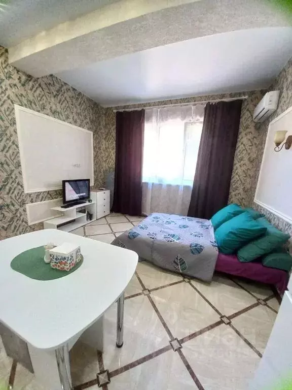 Студия Краснодарский край, Сочи ул. Ручей Видный, 55 (28.0 м) - Фото 1