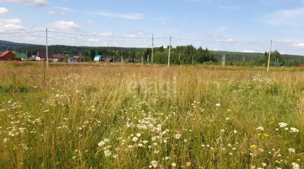 Култаево Пермский район романа Кашина