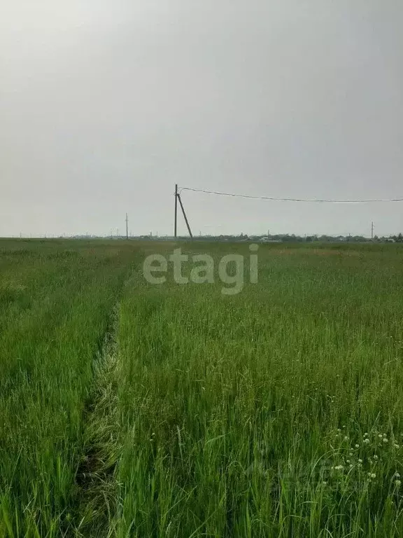 Участок в Амурская область, Благовещенский район, с. Волково  (15.0 ... - Фото 0