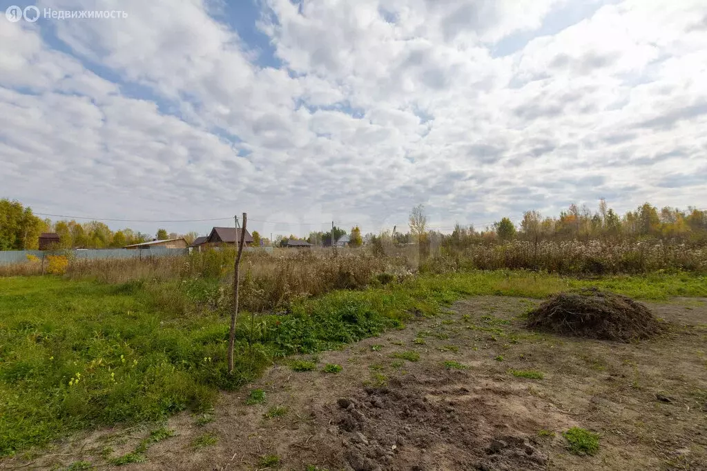Участок в Тюменская область, Ярковский муниципальный округ, посёлок ... - Фото 2
