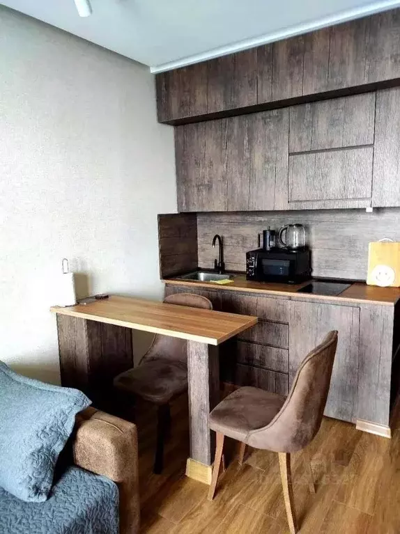 Студия Краснодарский край, Сочи Курортный просп., 59 (25.0 м) - Фото 2