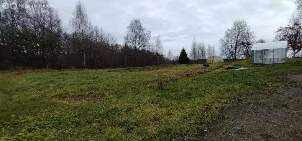 Участок в Костромской район, Самсоновское сельское поселение, деревня ... - Фото 1