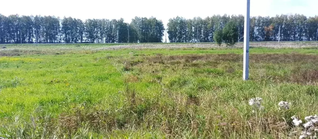 Участок в Башкортостан, Нуримановский район, Байгильдинский сельсовет, ... - Фото 1