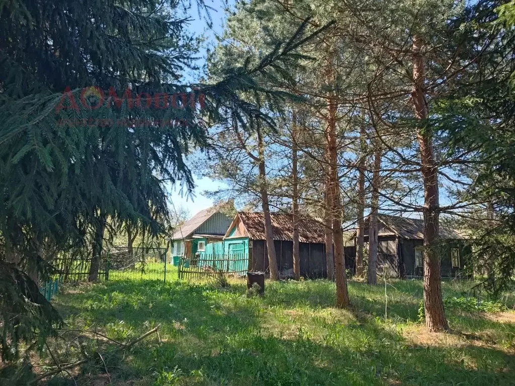 Дом в Смоленская область, Смоленский муниципальный округ, д. Алфимово  ... - Фото 0