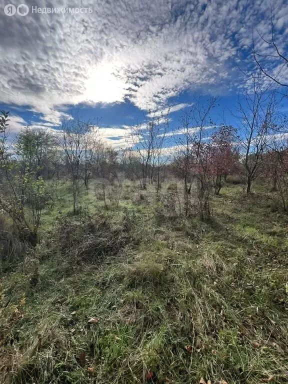 Участок в Тахтамукайский район, аул Козет (9.98 м) - Фото 2