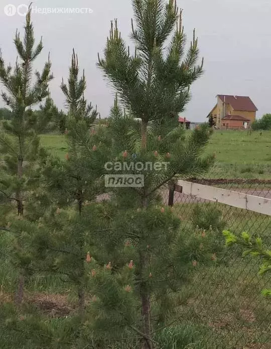 Дом в село Любино-Малороссы, Старожильская улица, 11 (92.6 м) - Фото 2