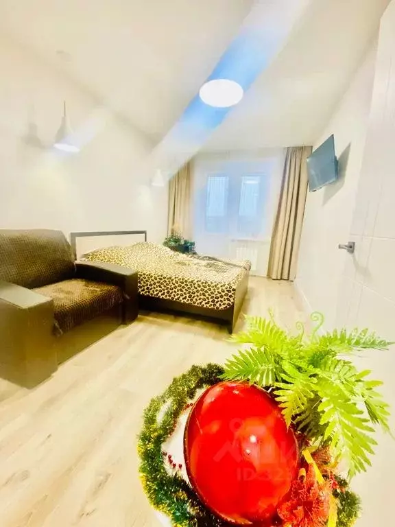 1-к кв. Марий Эл, Йошкар-Ола городской округ, с. Семеновка ул. ... - Фото 2