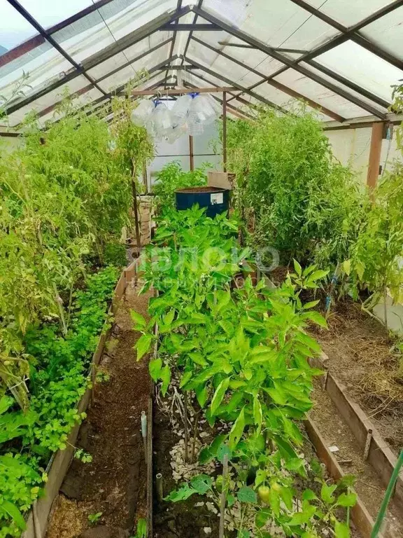 Дом в Пермский край, Березники № 43 СНТ, 41 (10 м) - Фото 1