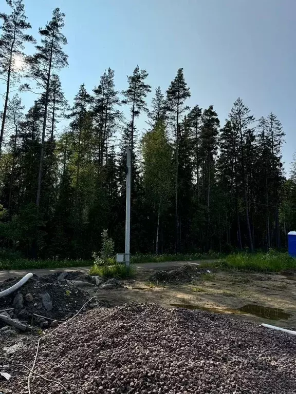 Участок в Ленинградская область, Всеволожский район, Агалатовское ... - Фото 2