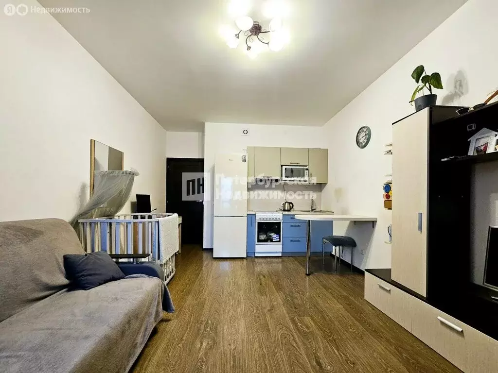 Квартира-студия: Санкт-Петербург, Арцеуловская аллея, 23к1 (23.9 м) - Фото 2