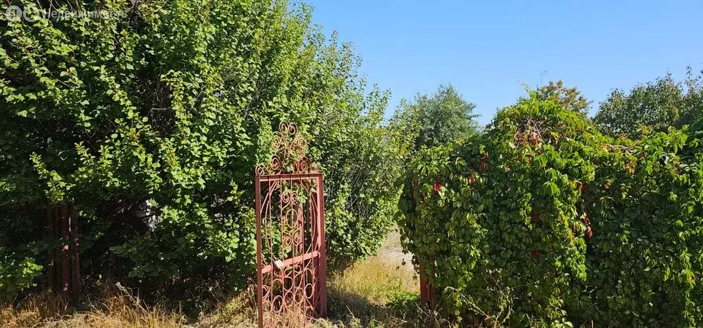 Участок в Городищенский район, Ерзовское городское поселение, СНТ ... - Фото 0