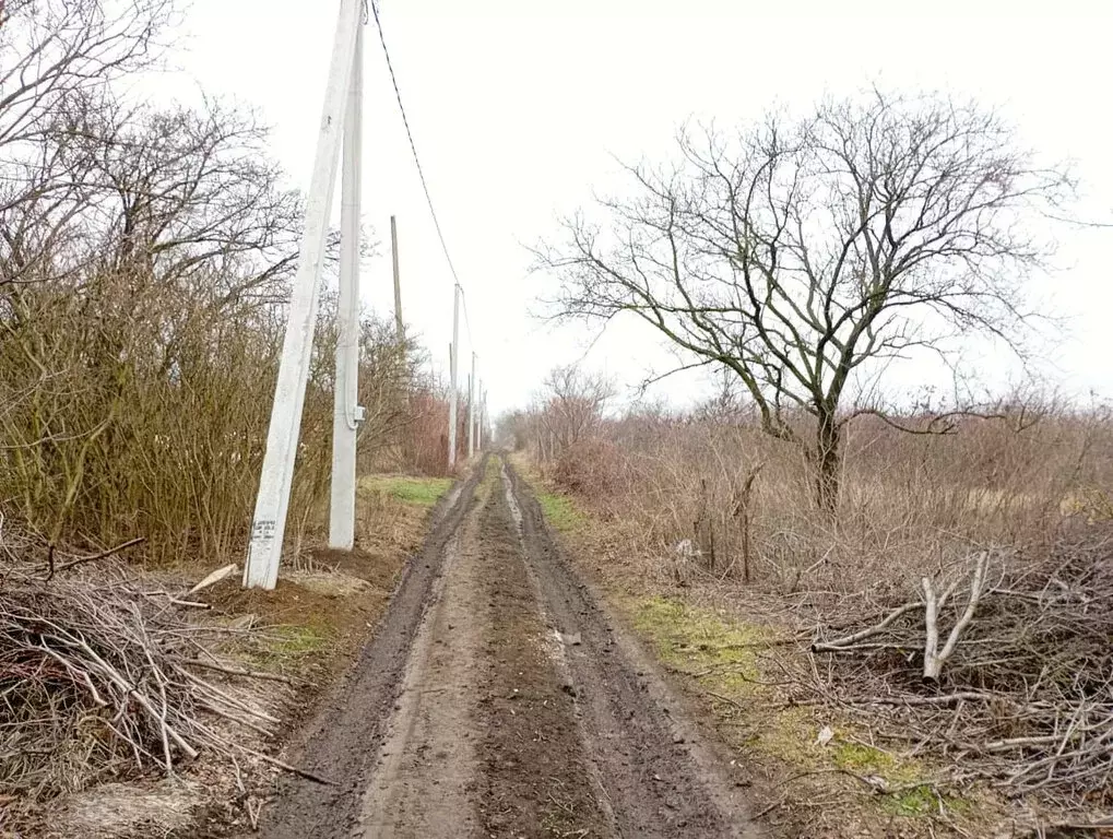 Участок в Широчанка, садовое товарищество Строитель, 3-я дорожка (5 м) - Фото 0