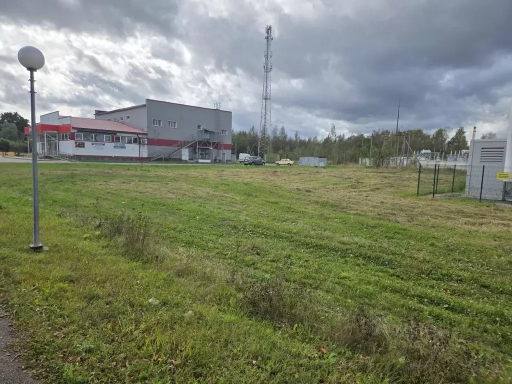 Участок в Ленинградская область, Лужский район, пос. Дзержинского  ... - Фото 1