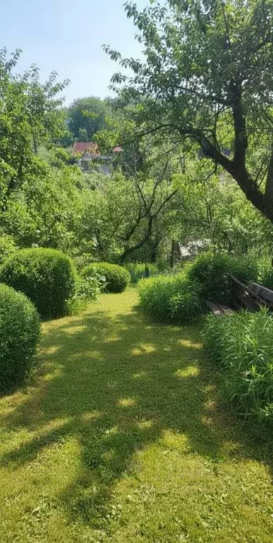 Участок в Нижегородская область, Нижний Новгород Дружба СНТ,  (5.2 ... - Фото 1