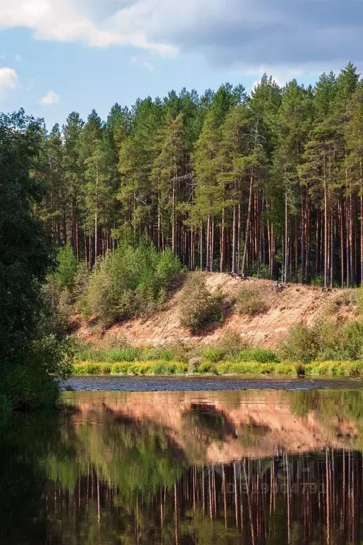 Участок в Кировская область, Кирово-Чепецкий район, Пасеговское с/пос  ... - Фото 1
