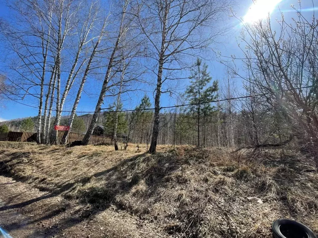 Участок в Алтай, Майминский район, Соузгинское с/пос, пос. Турбаза ... - Фото 2