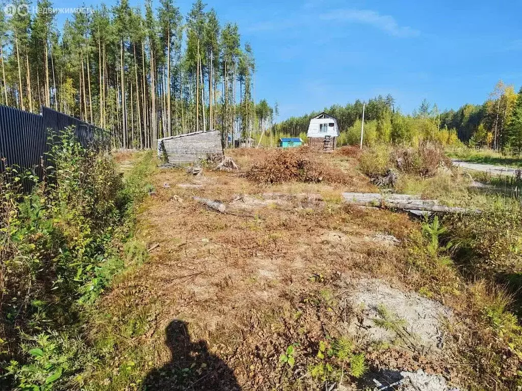 Участок в посёлок городского типа Краснозатонский, микрорайон Сосновая ... - Фото 1