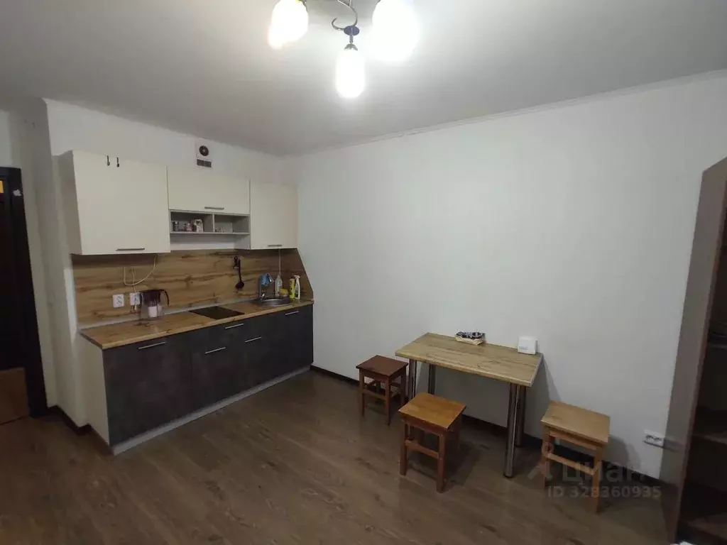 Студия Санкт-Петербург просп. Энергетиков, 9к6 (24.9 м) - Фото 1