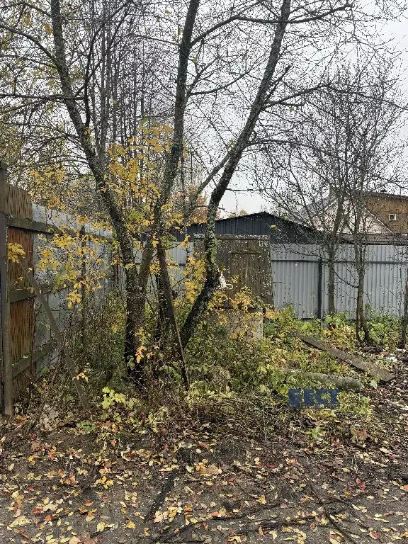 Продается участок в дп Зеленоградский - Фото 2