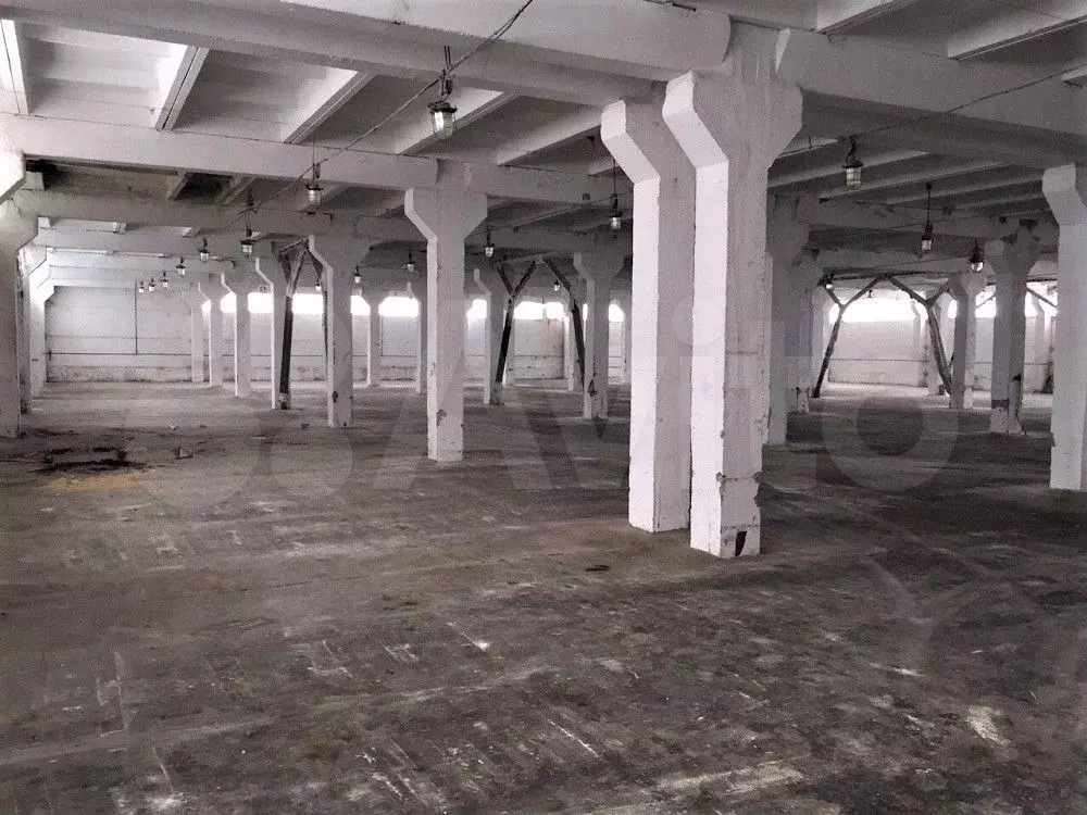 Производственный комплекс 24 000 м - Фото 1