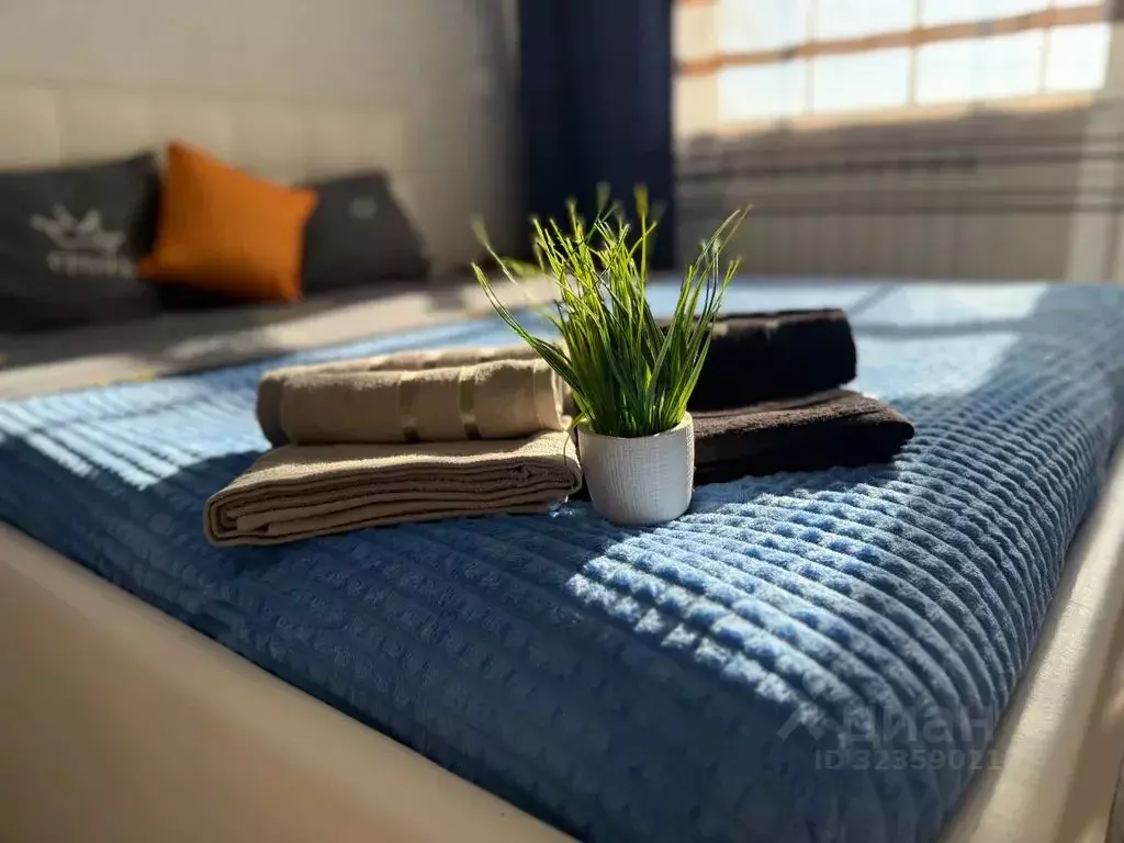 1-к кв. Челябинская область, Троицк Сибирская ул., 21 (32.0 м) - Фото 2