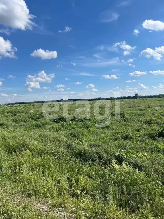 Участок в Тульская область, Новомосковск  (31.3 сот.) - Фото 1