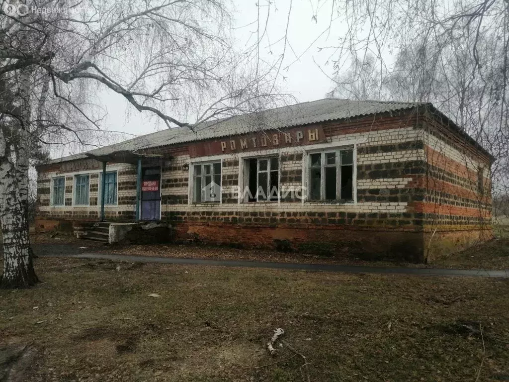 Торговая площадь (238.1 м) - Фото 1