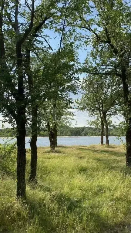 Участок в Ростовская область, Багаевская ст-ца ул. Набережная (12.0 ... - Фото 1