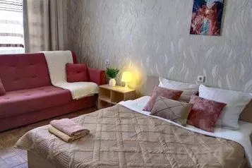 1-к кв. Новосибирская область, Новосибирск ул. Гоголя, 26 (43.0 м) - Фото 0