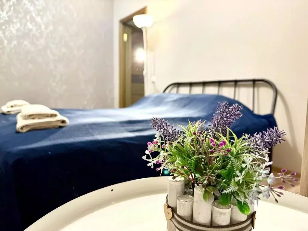 2-к кв. Псковская область, Псковский район, Завеличенская волость, д. ... - Фото 2